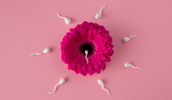 Andrológiai leletek értékelése és a spermium funkcionális tesztek
